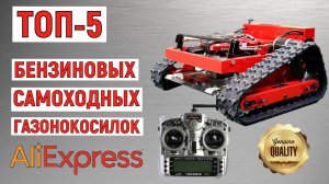 ТОП-5 бензиновых самоходных газонокосилок с AliExpress. Рейтинг