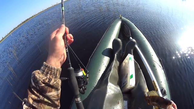 Рыбы в Объективе