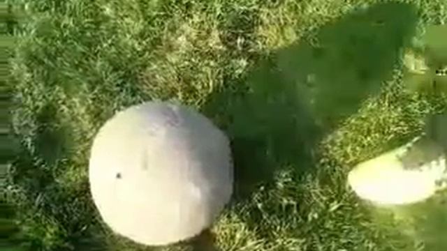 Как бить в  девятку,кручёным и обучение финтам.