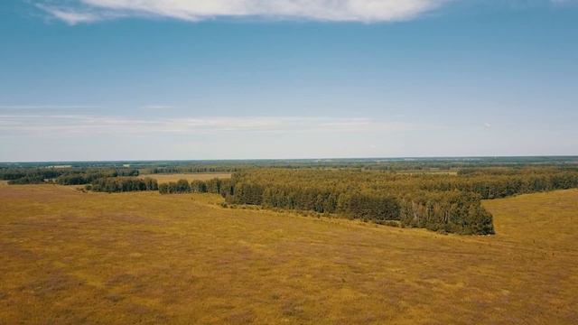 село Чимеево и его окрестности. смотреть онлайн