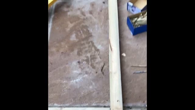 How To Build A Polycarbonate Greenhouse, How To Make A Greenhouse, Home D.I.Y