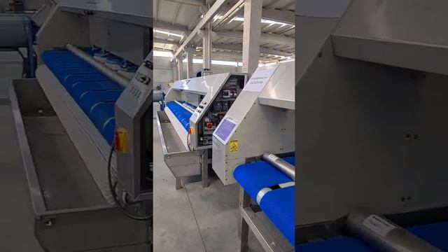 Издевательства над качеством ковромоечного оборудование ERGIN makina смотреть онлайн