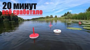 Не зря поставил кружки. Клёв щуки в жару.