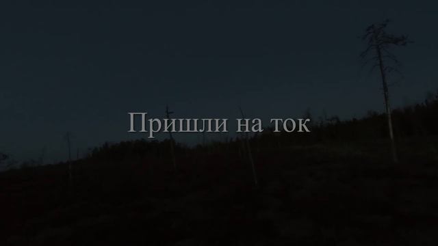 Охота на глухаря. На току. смотреть онлайн