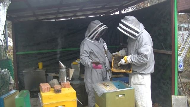 Интересный случай при подготовке семьи к термообработке смотреть онлайн