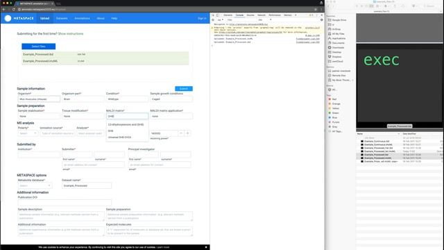 debugging METASPACE platform upload problems (chrome) смотреть онлайн