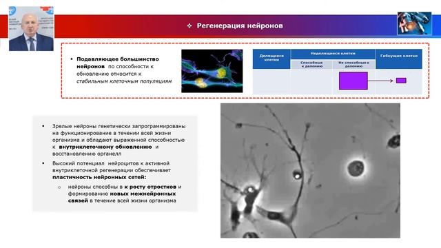 Биология тканей - лекция №9. Нервная ткань: нейроны и нейроглия смотреть онлайн