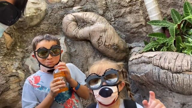Animal Kingdom ? ? 12.11.2020 смотреть онлайн