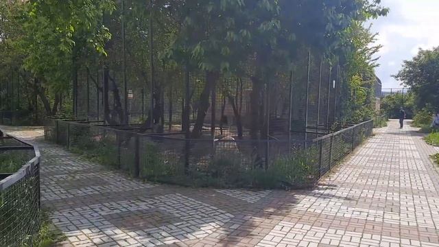 Парк Тайган Крым смотреть онлайн