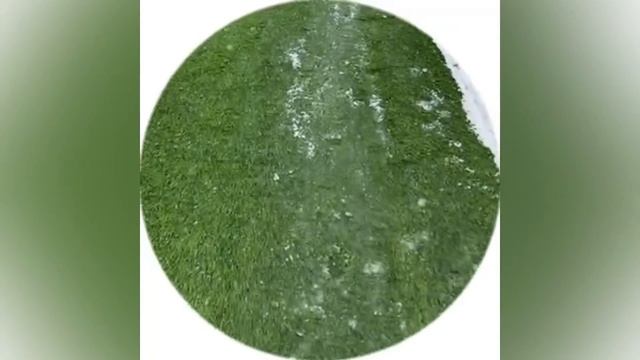 КУТУЗ УШЕЛ ИЗ ТИТАНА В ДРУГУЮ КОМАНДУ ЛФЛ?! смотреть онлайн