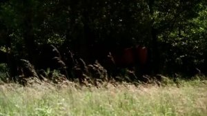 Царская охота. История. Мелодрама.