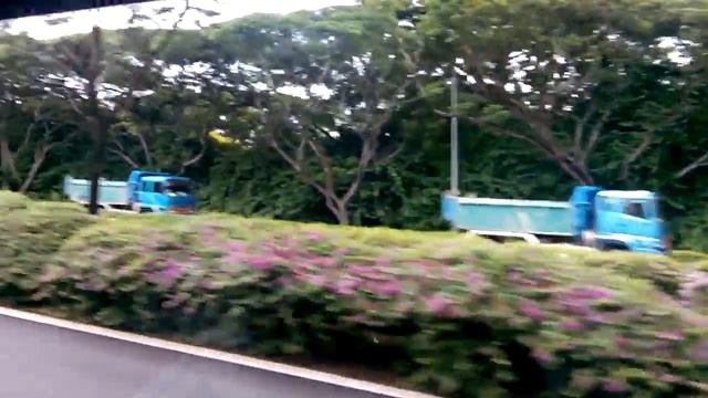 Бесплатная экскурсия из аэропорта Чанги в Сингапуре. Singapure tour смотреть онлайн