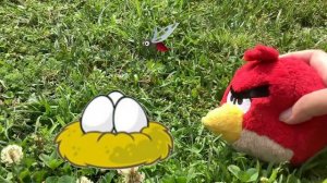 Angry Birds Cinematic Trailer (Plush Version) (13th Anniversary Special)