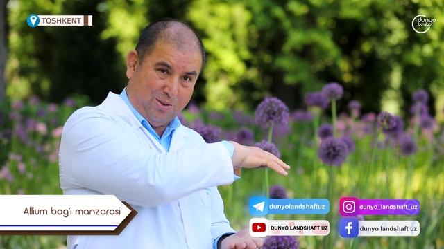 Аллиум боғи Тошкентда.. ???? смотреть онлайн
