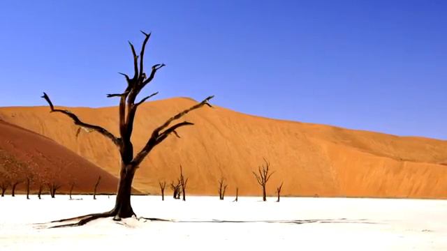 Голос Имана- Кто из людей в Судный День будет иметь два языка из огня?????? Сильная напоминания. смотреть онлайн