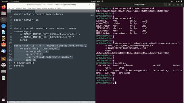 How to run mongoDB in a container | commands in description смотреть онлайн
