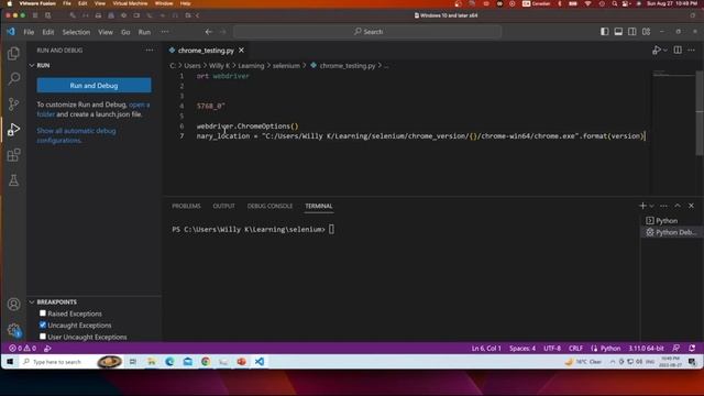 How to use Chrome for Testing browser with Selenium and Python смотреть онлайн