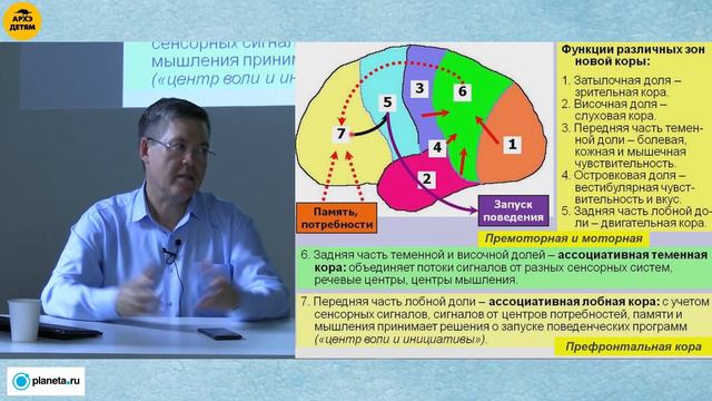 Вячеслав Дубынин: "Головной мозг. Окончание" (Лекция 19) смотреть онлайн