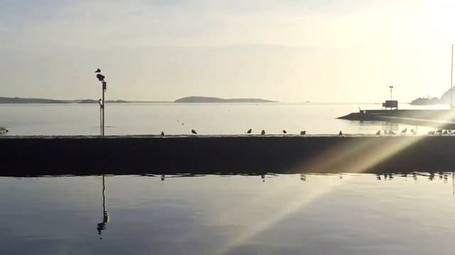 A little introduction to Kristiansand смотреть онлайн