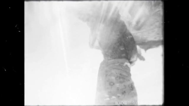 Pelargonium - Mistake [Music Video] #dance #edm #oliverheldens #tiktok #edm #deephouse #pelargonium