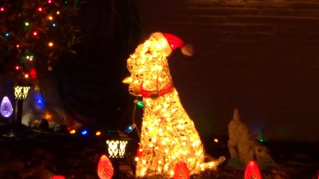 (Christmas Special) "NEIGHBORHOOD LIGHTS" (Sony wx350 mp4 video) смотреть онлайн