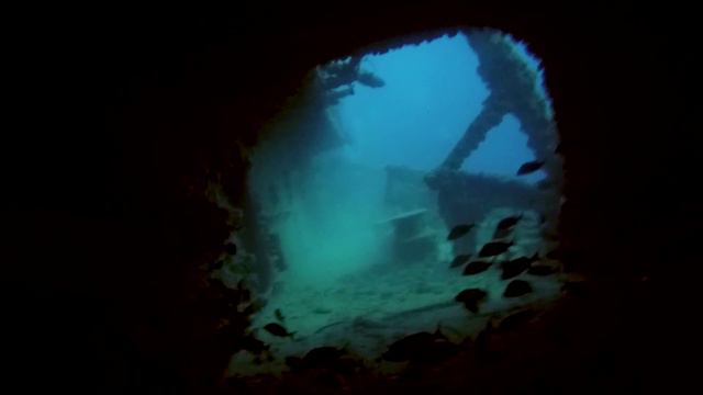 Wreck Diving on the USCGC - Duane HD1080p - Key Largo Florida - GoPro Hero4 Black смотреть онлайн
