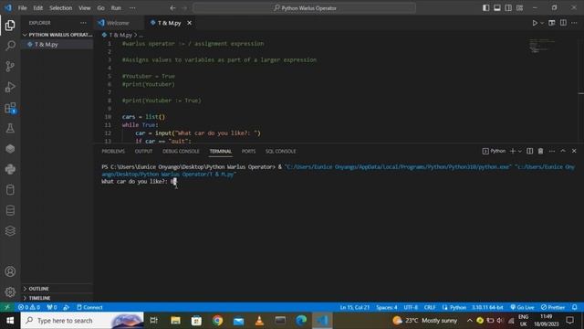 Python's Walrus Operator??#100daysofpython смотреть онлайн