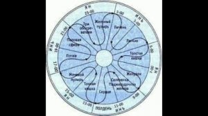 Сон разума, почему люди просыпаются среди  ночи, в чём причина?