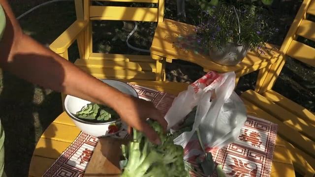 6 соток 19 июля 2021 год. Хроника. смотреть онлайн