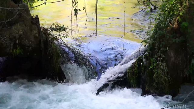 Шум реки белый шум для сна смотреть онлайн