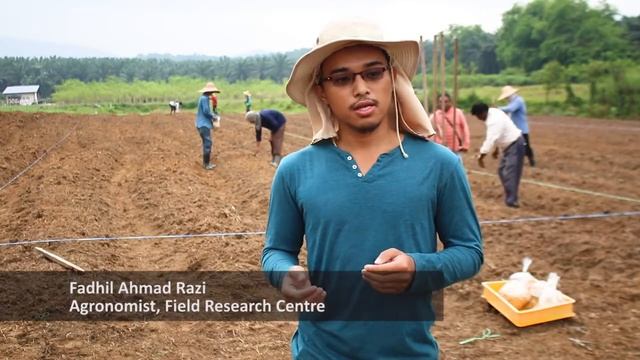 #CONNECTProject: Sowing of bambara groundnut смотреть онлайн