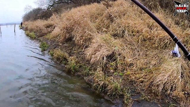 РЫБАЛКА НА ОКЕ в НОЯБРЕ. ЛОВЛЯ ОКУНЯ на СПИННИНГ. РЫБАЛКА ПОЗДНЕЙ ОСЕНЬЮ смотреть онлайн