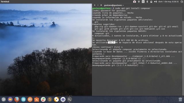 Como Instalar Composer y Git en Ubuntu 16.04 смотреть онлайн