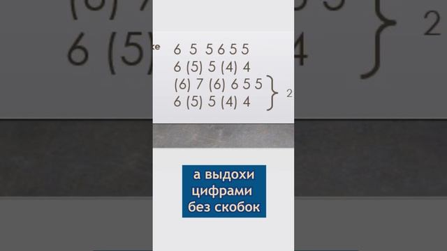 Губная гармоника и табулатура смотреть онлайн