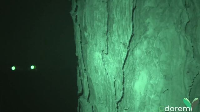 Panasonic XC-VX980 La mia attrezzatura - ep. 3 - sottotitolato смотреть онлайн