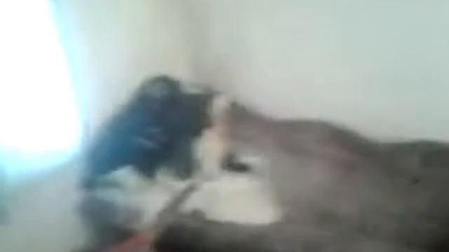 ТОЛЬЯТТИ ДАЧА 79 2017 смотреть онлайн