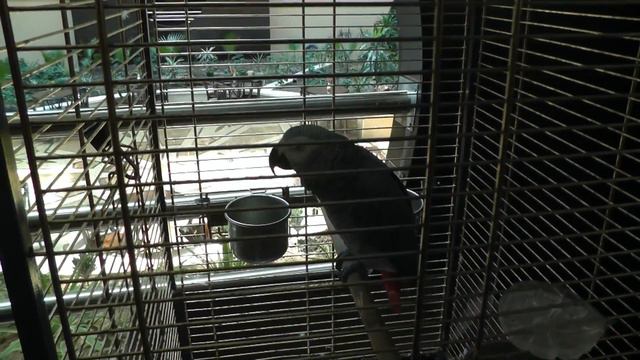 Обзор отеля Timo Resort 5* - что внутри отеля | Отдых в Турции