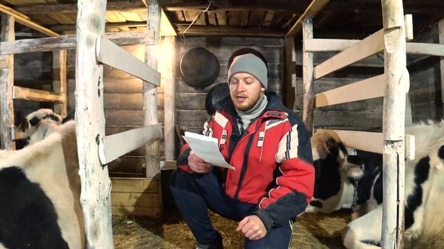 Как повысить удой коровы? Отчет по эксперименту спустя 3 недели. Жизнь в деревне. смотреть онлайн