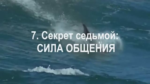 Адам Джексон- "Десять Секретов Любви " смотреть онлайн