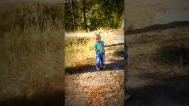 как-то в ботаническом лесничестве в новосибирске 11 сентября 2015 ))))))) смотреть онлайн