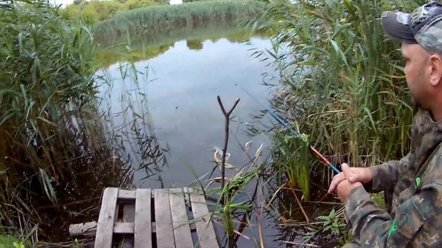 Диалоги о рыбалке от Полины смотреть онлайн