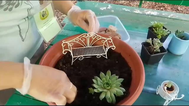 Советы мастера/Создание декоративного мини сада/Цветочные композиции смотреть онлайн