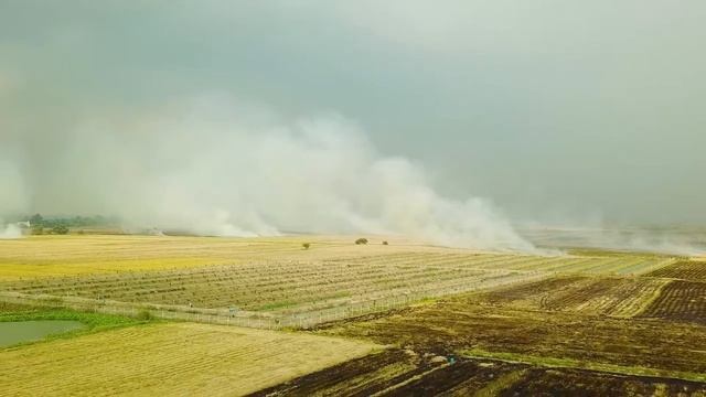 Какие основные ошибки при посеве семян!? Какой способ выращивания выбрать?! Термообработка! смотреть онлайн