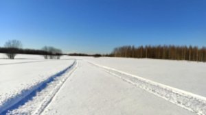 С какой скоростью может ехать Снегоход Стелс Викинг 800