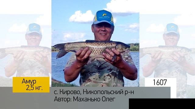 Фотоальбом - Рыбалка №321 смотреть онлайн