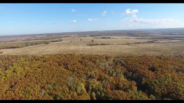 Приморская осень - самое красивое время года смотреть онлайн