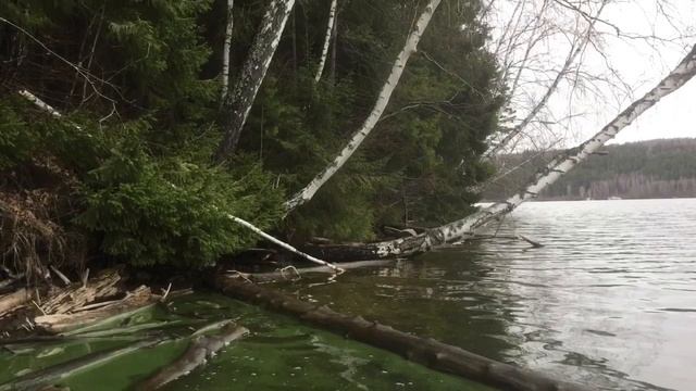 Осенняя Павловка.