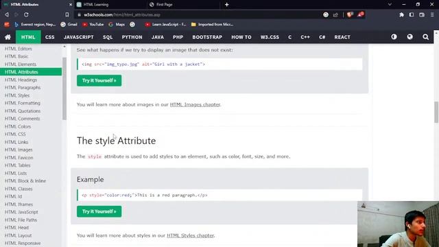 Learning HTML using w3schools.com and chatGPT смотреть онлайн