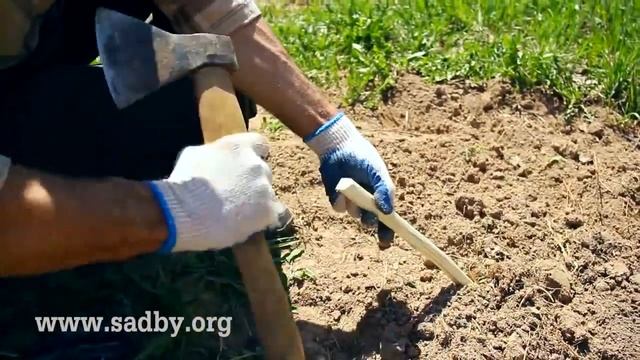 Отгиб веток: формирование кроны плодовых деревьев || Ландшафтный Дизайн © смотреть онлайн