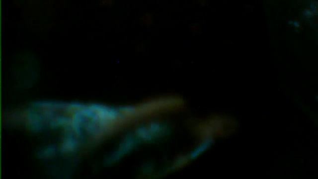 Видео с веб-камеры. Дата: 4 июля 2013 г., 21:18. смотреть онлайн